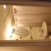 Doolan's Shore Club in Spring Lake Heights bathroom with shower curtain, sink, mirror, and toilet