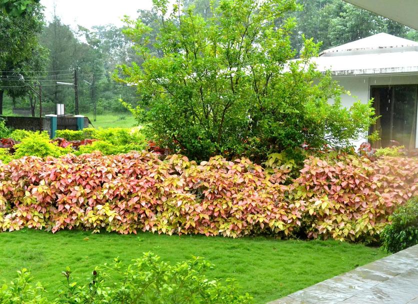 Outdoors view Photo
