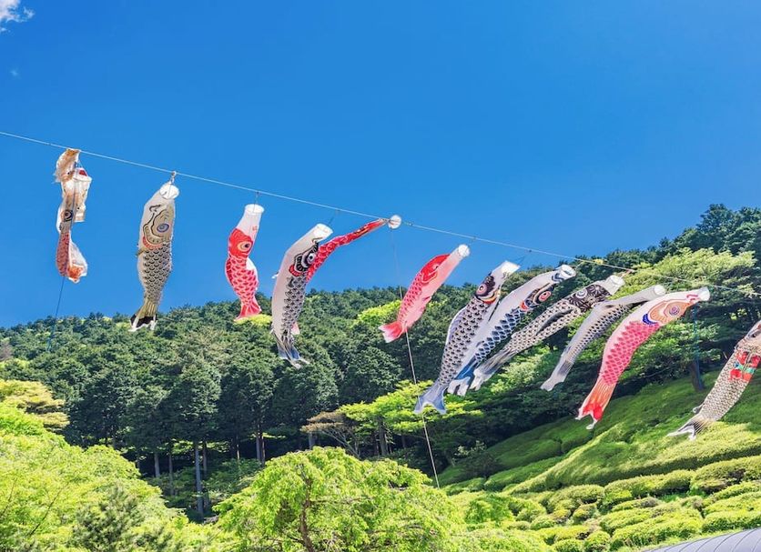 Kamenoi Hotel Atami Annex in Atami with hillside greenery under a blue sky and colorful koi streamers