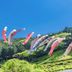 Kamenoi Hotel Atami Annex in Atami with hillside greenery under a blue sky and colorful koi streamers