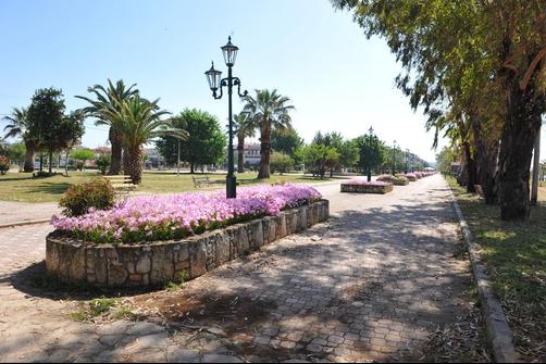 Apartments Dimitra - Flogitá