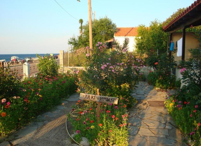 Other Photo