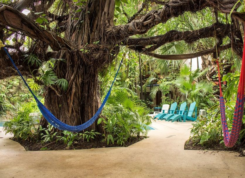 Eco-Hotel El Rey Del Caribe in Cancún garden with hammocks and lounge chairs
