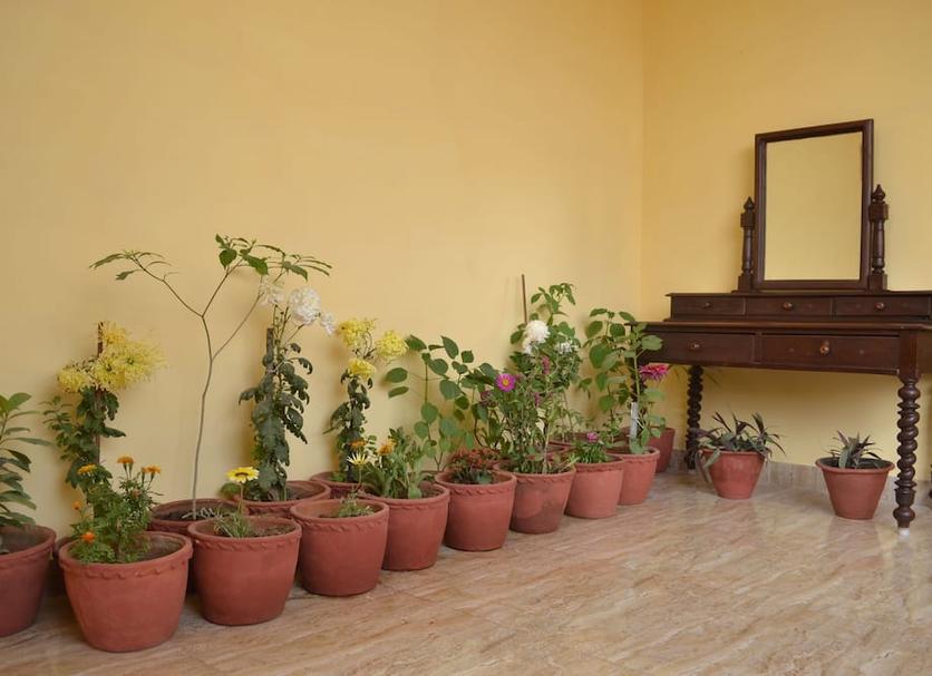 Outdoors view Photo