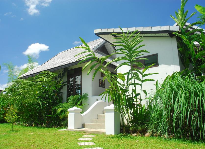Other Photo