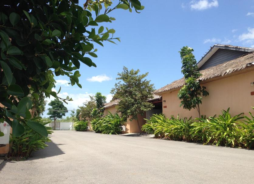 Outdoors view Photo