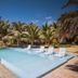 La Casa de Sebas in Máncora: outdoor pool with loungers and palm trees