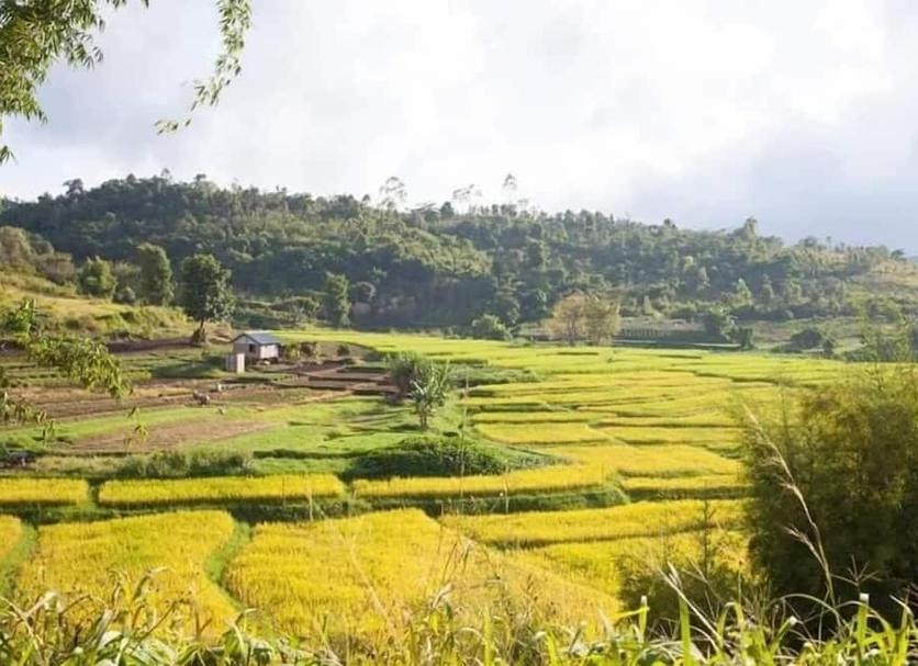 Outdoors view Photo