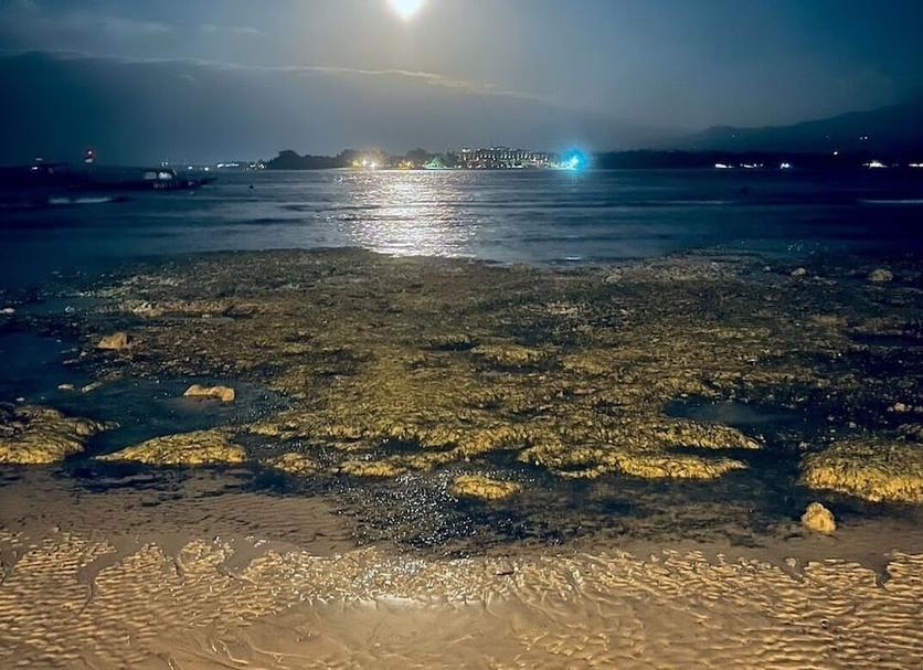 Beach Photo