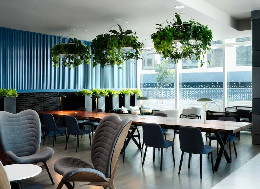 Luma Hotel San Francisco dining area in San Francisco with hanging plants and large windows
