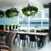 Luma Hotel San Francisco dining area in San Francisco with hanging plants and large windows