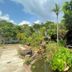 The Krabi Forest Homestay in Ao Nang, tropical garden with pond and stone path
