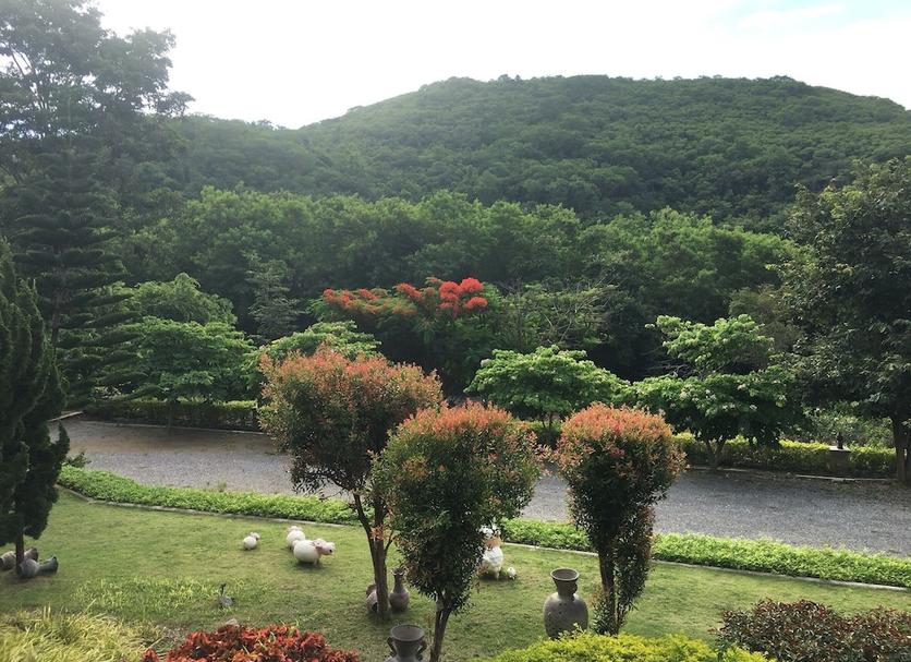 Outdoors view Photo