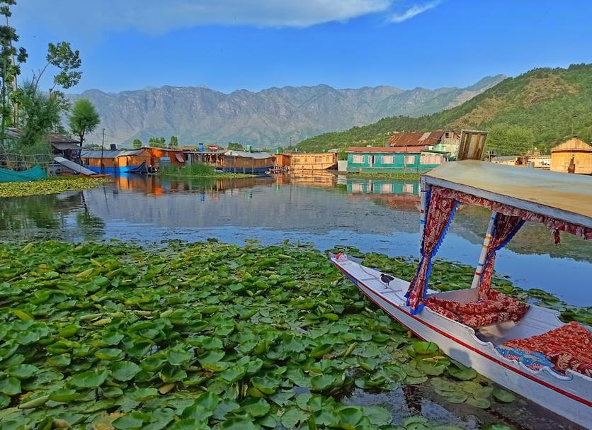 Outdoors view Photo