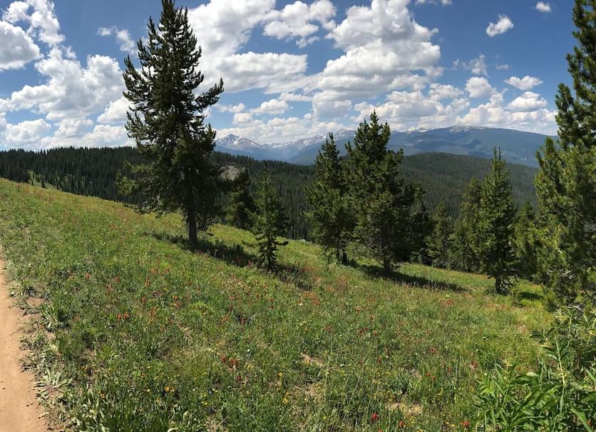 Outdoors view Photo