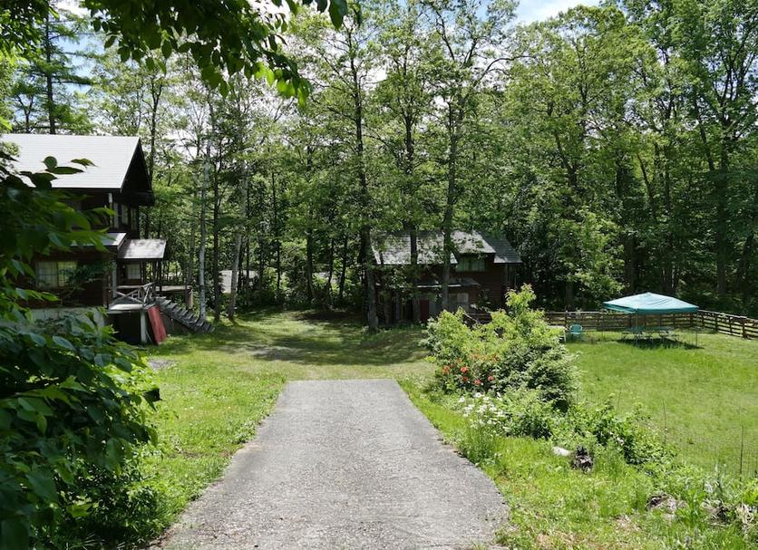 Other Photo