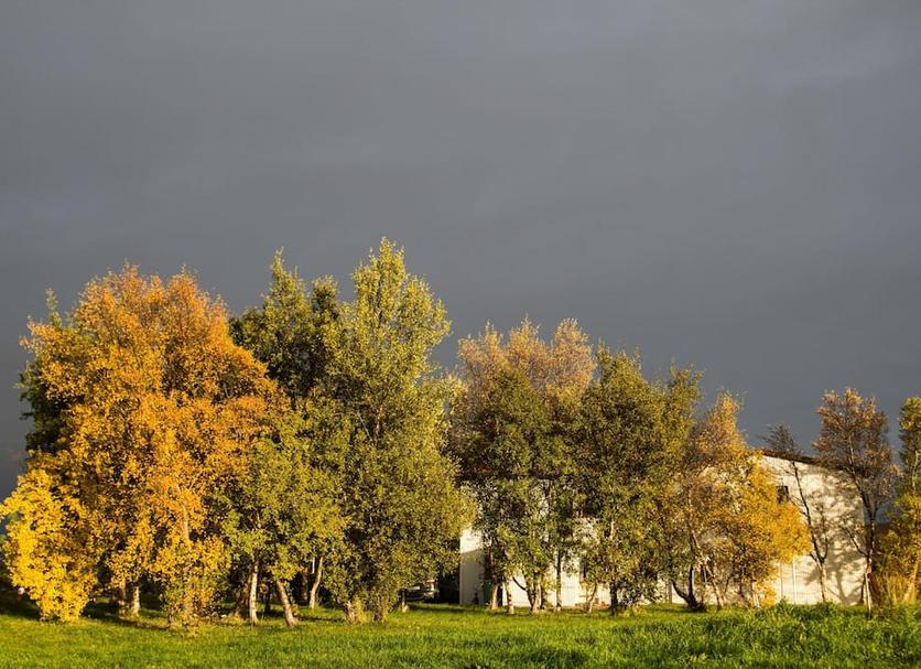 Outdoors view Photo