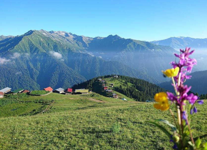 Outdoors view Photo