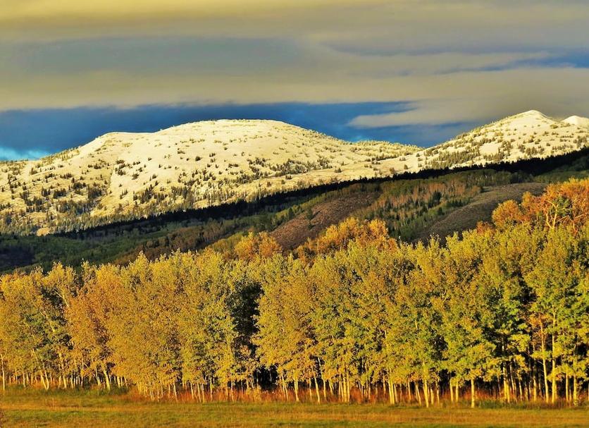 Outdoors view Photo