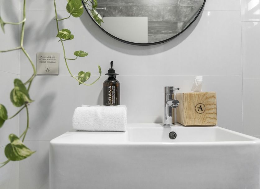 The Alison Randwick bathroom sink with mirror, towel, toiletries, and hanging plant in Sydney