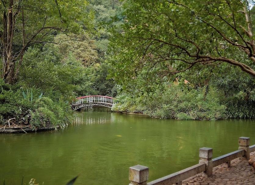 Outdoors view Photo