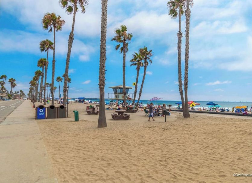 Beach Photo