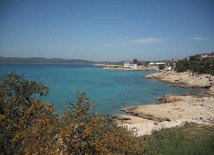 Other Photo