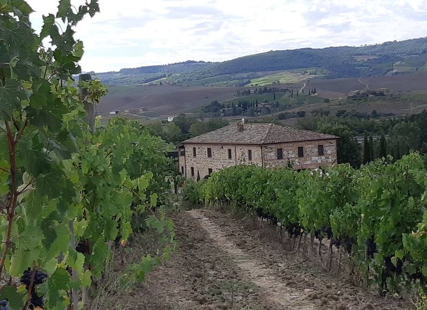 Cordella In Montalcino Wine Resort in Montalcino, vineyard path to stone farmhouse with hillside views