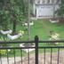 Outdoors view