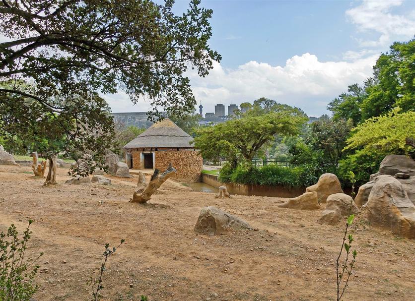 Outdoors view Photo