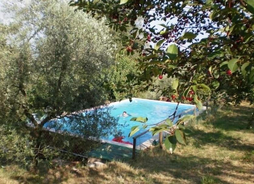 Other Photo