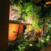 Hotel Patio Dogo in Matsuyama with a lush illuminated garden walkway beside the building