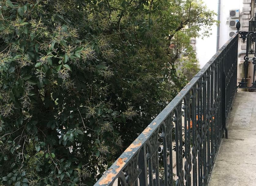 Balcony Photo