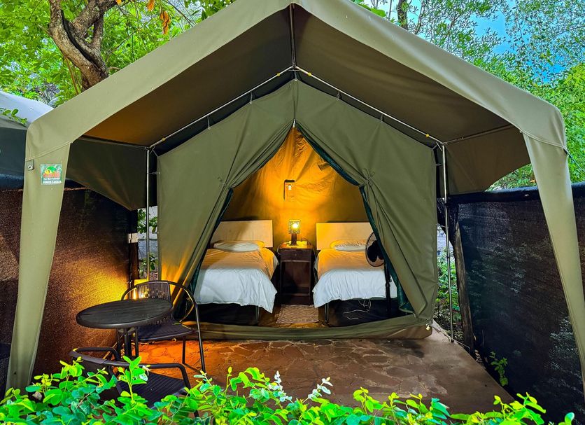 Victoria Falls Backpackers Lodge glamping tent with two beds and small table in Victoria Falls