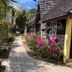 Firefly Beach Cottages and Suites in Negril, garden path beside cottages with pink flowers
