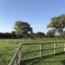 Robeanne House in Beverley, fenced green paddock with trees under a clear blue sky