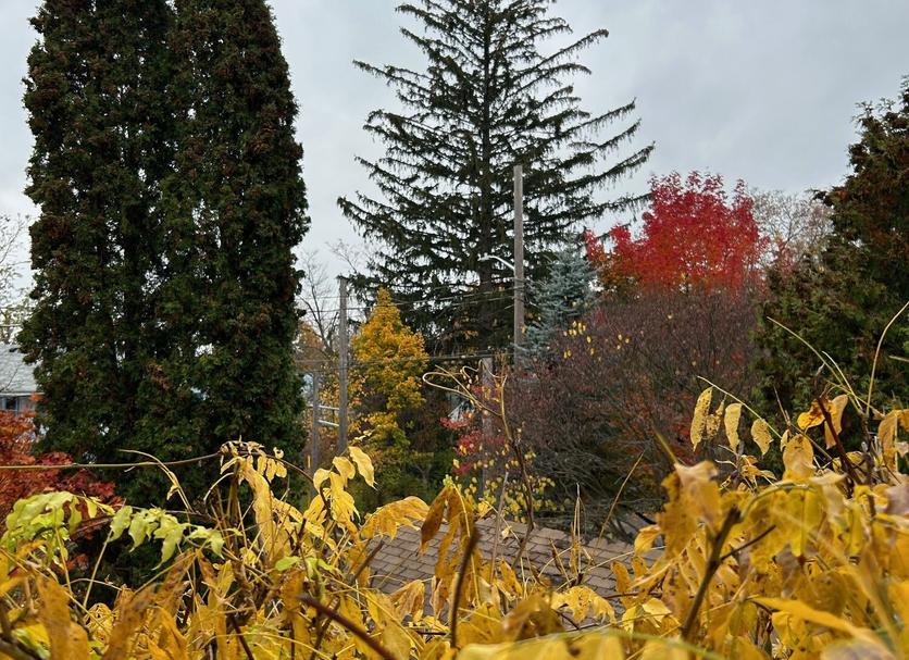 Outdoors view Photo