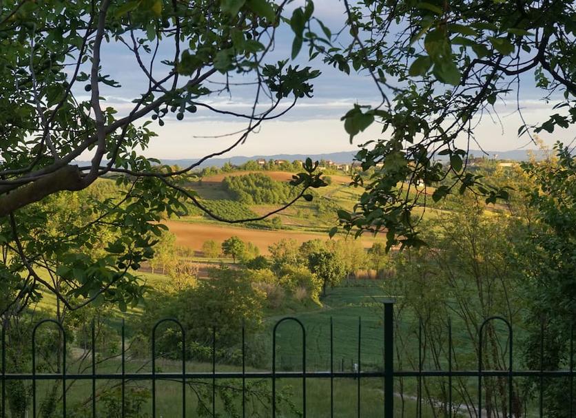 Outdoors view Photo