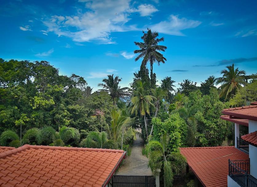 Outdoors view Photo