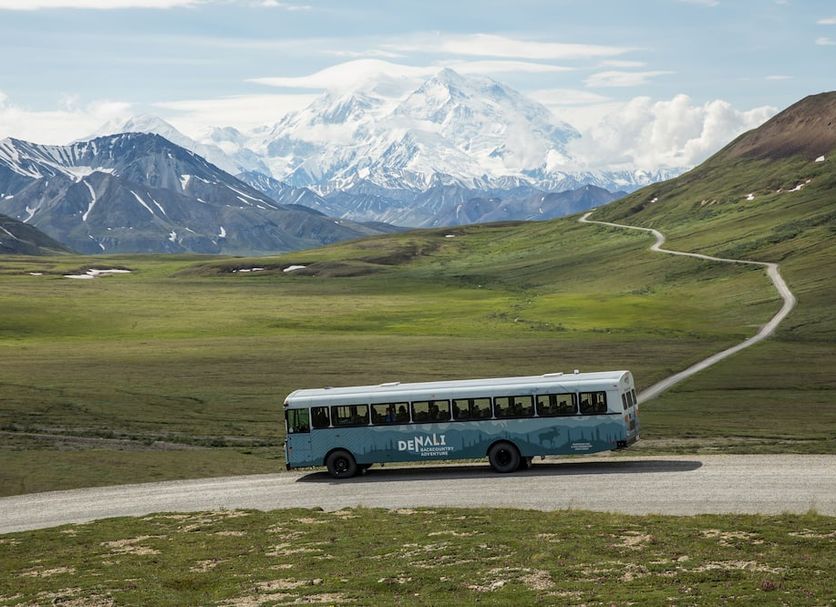 Denali Cabins shuttle bus on a scenic Denali Park road with Mount Denali in the background