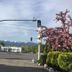 Diamond View Motel in Susanville with mountain views and blooming trees beside a street intersection