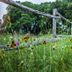 Wildflower meadow at Cypress Fairway Village in Wimberley with rustic wooden fence and trees