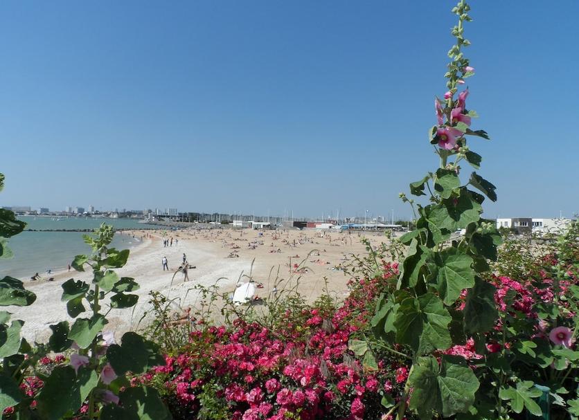Beach Photo