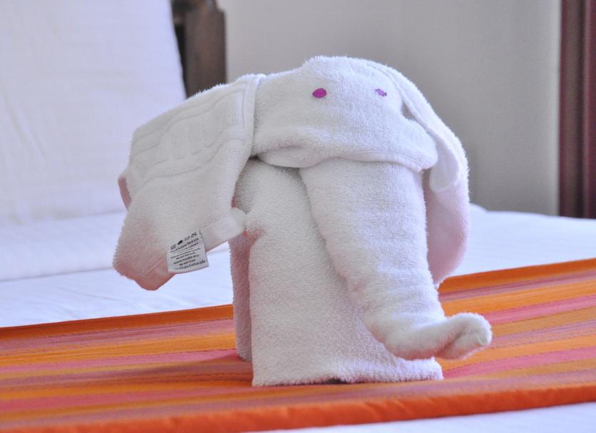 Room amenity Photo