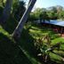 Rio Arriba Suites Apartments y Resto in Bella Vista with red cabins amid lush tropical greenery