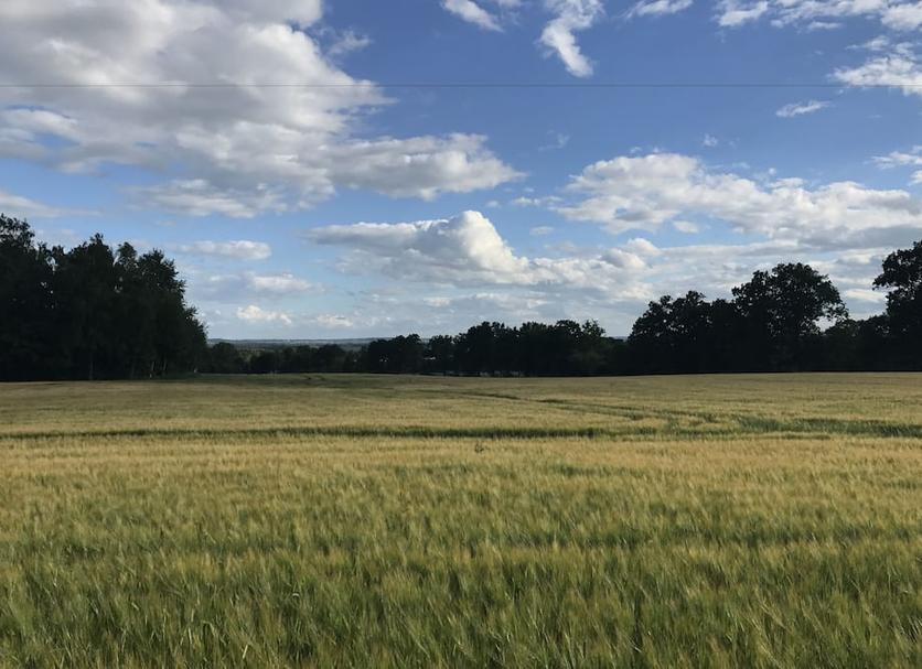 Outdoors view Photo