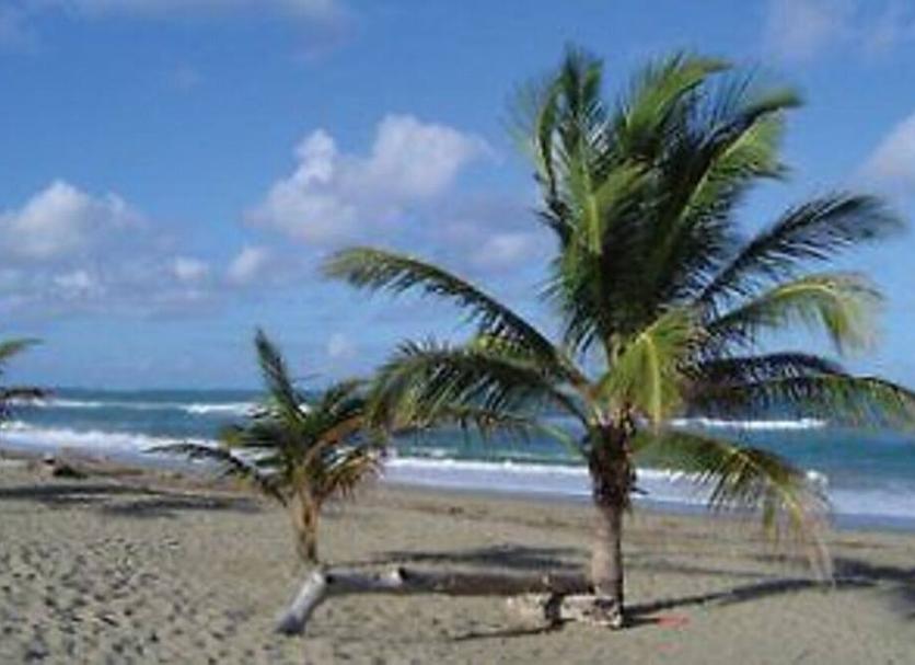 Beach Photo