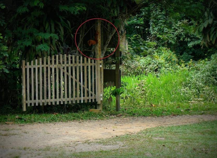 Outdoors view Photo