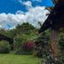Cabinas La Catarata in La Fortuna, garden view of lush greenery and purple flowers beside a cabin