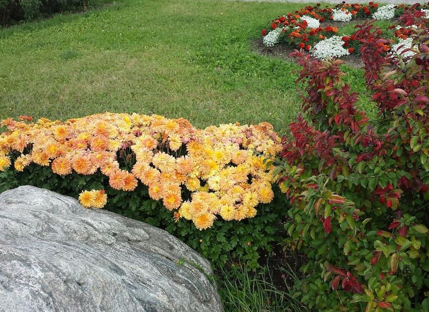 Outdoors view Photo